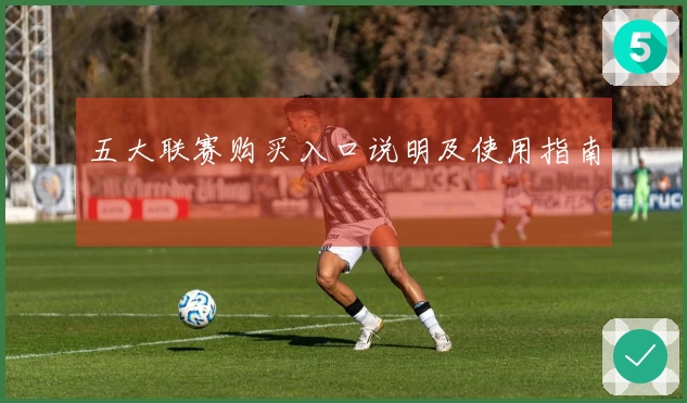 五大联赛购买入口说明及使用指南