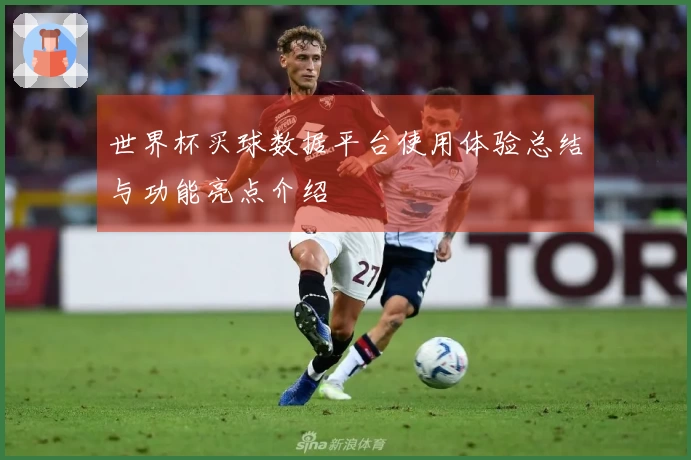 世界杯买球数据平台使用体验总结与功能亮点介绍