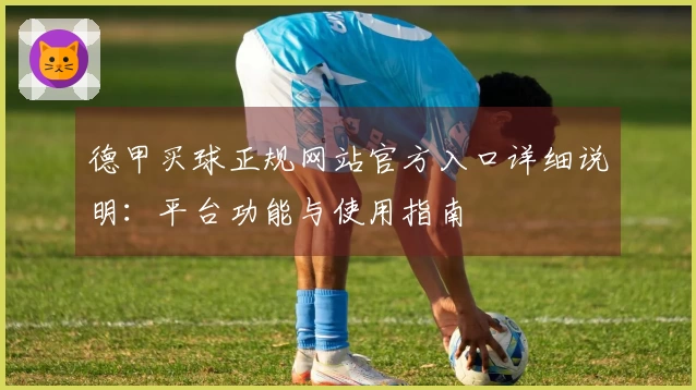 德甲买球正规网站官方入口详细说明：平台功能与使用指南