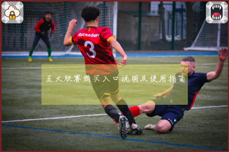 五大联赛购买入口说明及使用指南