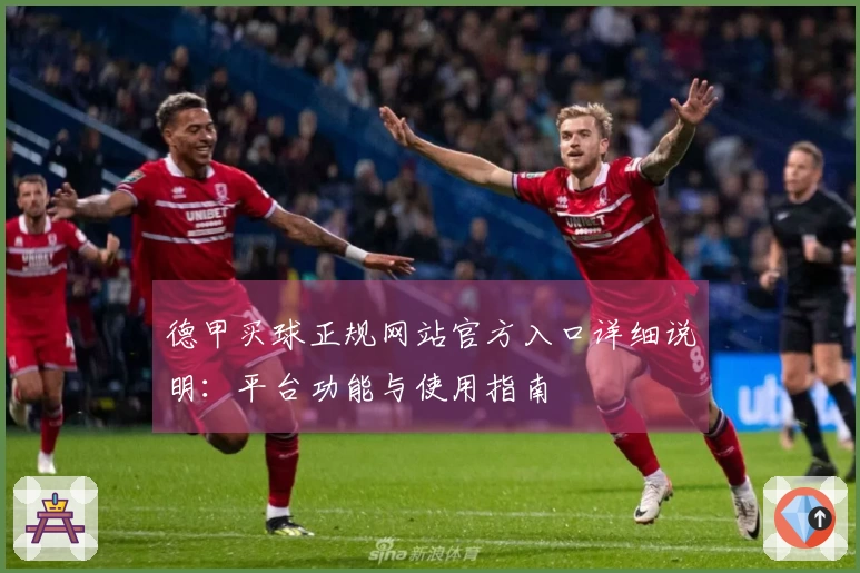 德甲买球正规网站官方入口详细说明：平台功能与使用指南