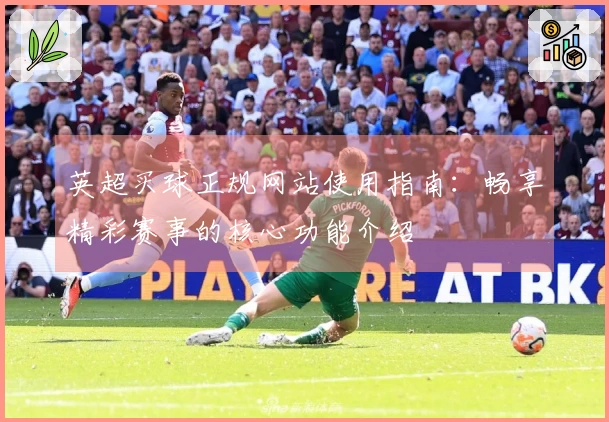 英超买球正规网站使用指南：畅享精彩赛事的核心功能介绍